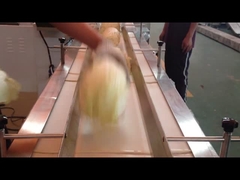 Macchina orizzontale del pacchetto di flusso