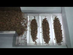 La macchina imballatrice dell'uva passa di prezzo franco fabbrica, macchina imballatrice matta, ha asciugato la macchina imballatrice delle date rosse