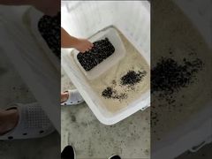 Guarda: LC-M4H Selezionatrice di Colore per Cereali Macchina per la Selezione del Colore CCD di Minerali