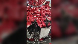 Confezionatrice automatica per buste prefabbricate rotanti Bag-in-Bag